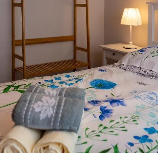 Loc Trotteur Le Fleur Des Champs F2 Cosy, Gare Sncf De * ルルド